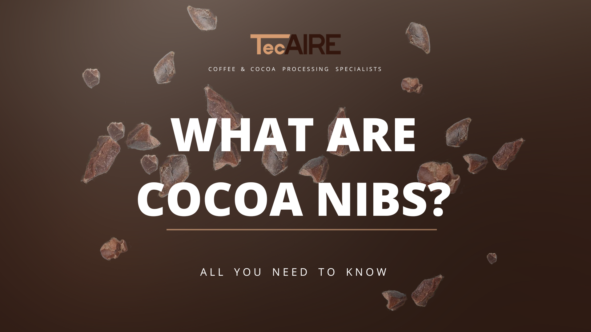 everything you need to know about cocoa nibs