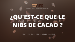 tout ce qu'il faut savoir sur les nibs de cacao