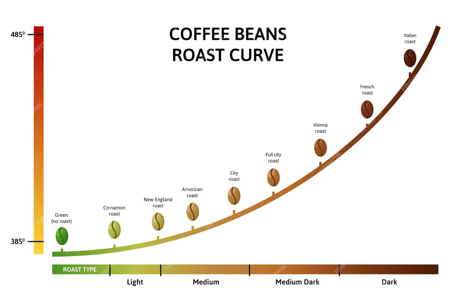 coffee beans curve depending the type of roast