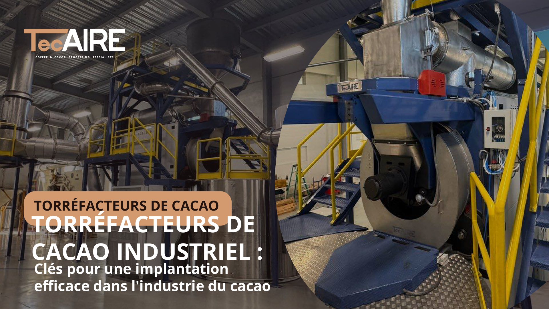  las mejores tostadoras de cacao industriales