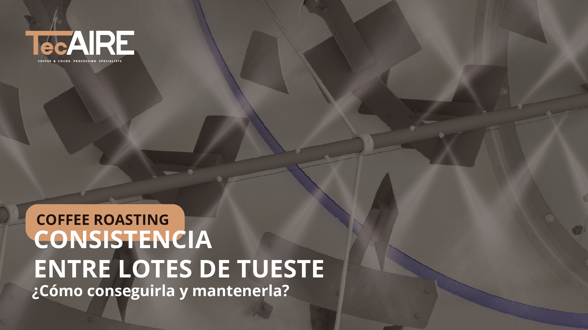 consistencia entre lotes de tueste de café cómo conseguirlo